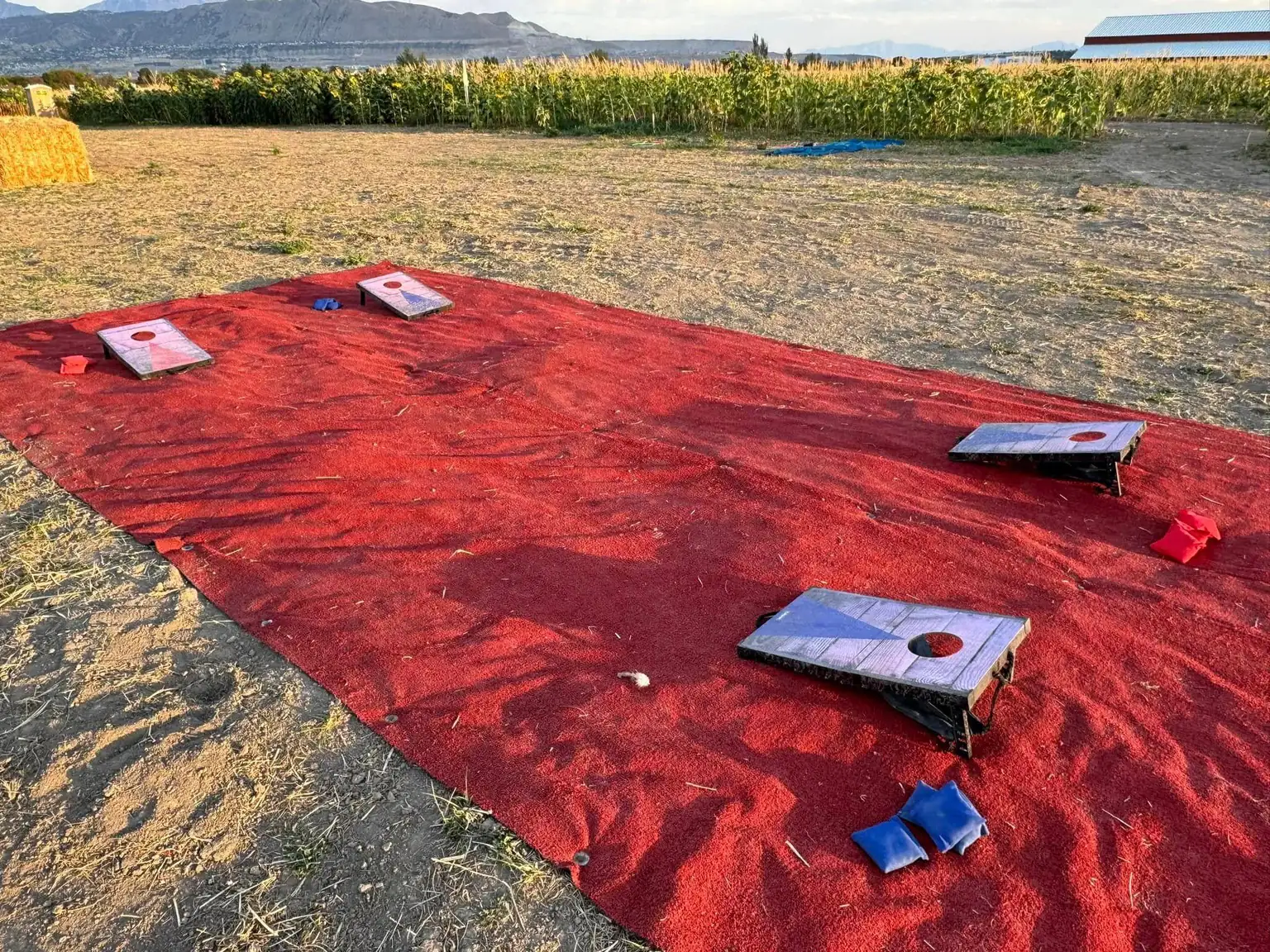 Cornhole boards set out on a red mat with the corn field and the Wasatch range behind